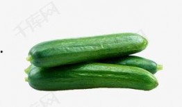 爆炸瓜视频 热门大瓜往期内容 校园生活,揭秘热门大瓜，回顾往期爆炸瓜视频